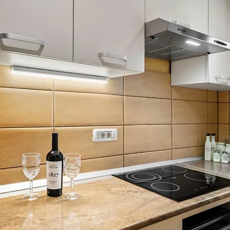 Vicentinest Apartment Brasov