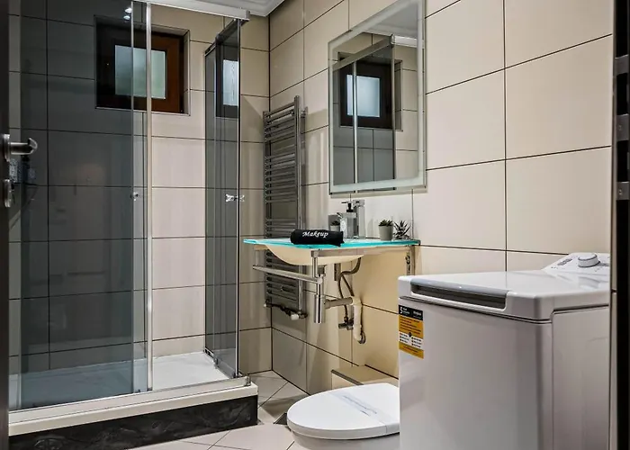 Vicentinest * Brasov