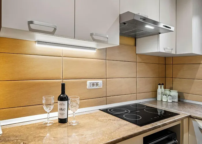 Vicentinest Apartment Brasov