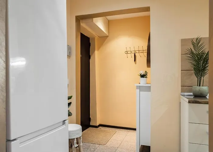 Vicentinest * Brasov